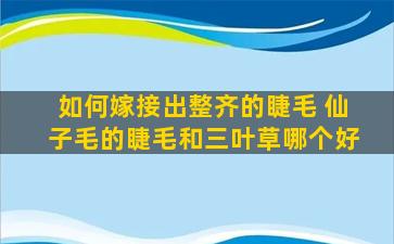 如何嫁接出整齐的睫毛 仙子毛的睫毛和三叶草哪个好